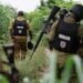 Kebbi Gun Battle: 17 Bandits Killed as 10 Police Officers Die in Fierce Clash