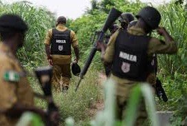 Kebbi Gun Battle: 17 Bandits Killed as 10 Police Officers Die in Fierce Clash