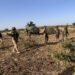 Top Boko Haram Commanders Die in ISWAP Ambush in Borno