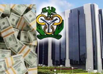 Diaspora Dollars Surge: Nigeria Records $947m Remittance Inflow in One Month