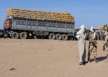 Chad Puts Forces on Alert After Alleged Sudanese Strike on Its Territory