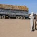 Chad Puts Forces on Alert After Alleged Sudanese Strike on Its Territory
