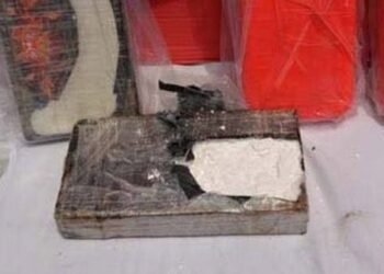 33kg Cocaine Seized as Algerian Police Crack Down on Drug Trafficking
