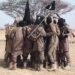 ISWAP Bomb Experts Die in Failed Borno Mission