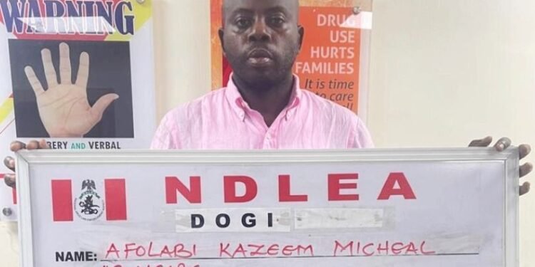 Nigerian Social Media Influencer Nabbed Over Alleged International Drug Trafficking
