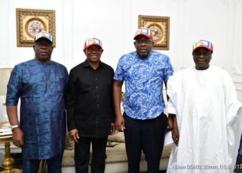 2027 Presidency: Dickson Meets Obi, Kwankwaso in Abuja