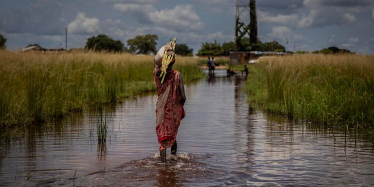 Sudan’s Farmers Struggle as El Niño Delays Rains and Nile Water Levels Drop