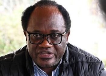 Zambian Opposition Leader Mundubile Taken Into Custody Over Treason Allegations