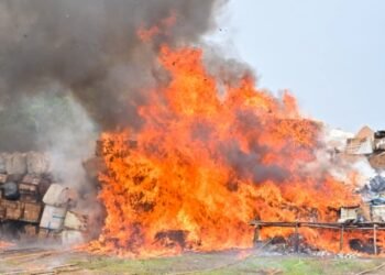 N301bn Drug Haul Destroyed as NDLEA Destroys Cocaine, Heroin, Opioids in Lagos
