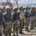 Niger Communities Under Security Watch as Forces Hunt for Mass Kidnap Victims