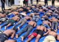37 Miners Die in Niger NSCDC Custody as Investigation Intensifies