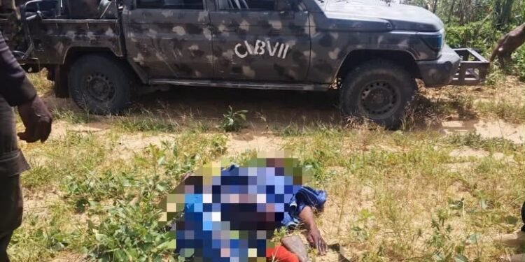 Operation FANSAN YAMMA: Six Kidnap Victims Freed as Troops Strike in Sokoto, Zamfara