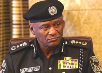 IGP Disu Speaks on Police Recordings, Says Skits Are Demoralising Officers