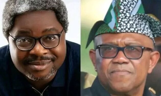 2027: NDC Lacks Structure to Defeat Tinubu, Says Wike’s Media Aide