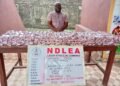 NDLEA Arrests Suspects as N3.4bn Illicit Drug Consignments Are Intercepted