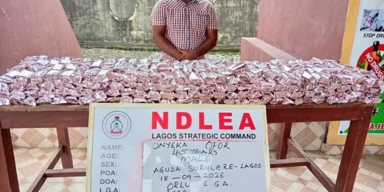 NDLEA Arrests Suspects as N3.4bn Illicit Drug Consignments Are Intercepted