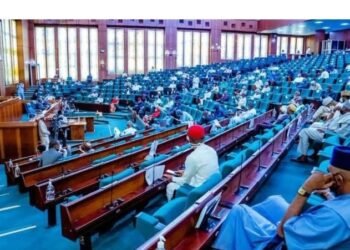 National Assembly Moves to Make Laws More Accessible Through Local Languages
