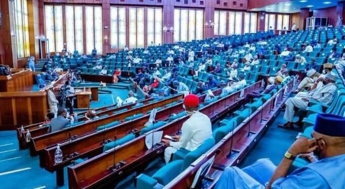 National Assembly Moves to Make Laws More Accessible Through Local Languages