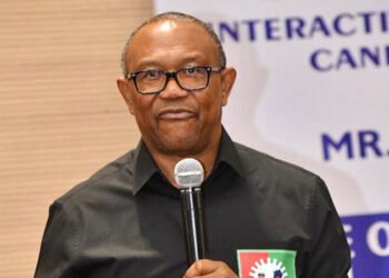 ‘Ludicrous,’ Says Tinubu Aide, as Obi Reopens Debate Over President’s Past