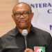 ‘Ludicrous,’ Says Tinubu Aide, as Obi Reopens Debate Over President’s Past