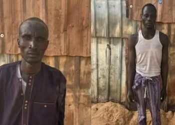 Borno: Troops Intercept Suspected Terrorist Logistics Shipment, Arrest Two