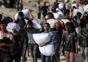 Israeli Rights Group Warns of ‘Elimination’ of Palestinian National Life in West Bank