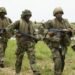 219 Terrorists Surrender as Nigerian Troops Intensify North-East Offensive