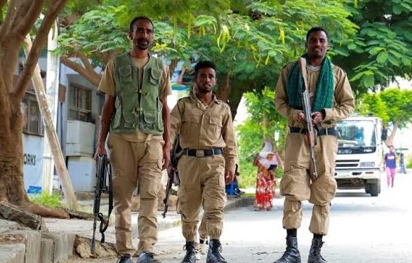 Ethiopian forces advance in Tigray amid renewed fighting